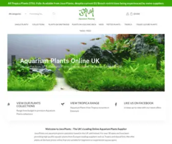 Java-Plants.com(Aquarium Plants Online UK) Screenshot
