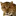 Jawaivilas.com Favicon