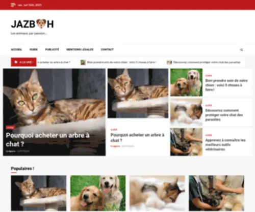 Jazbah.org(JAZB) Screenshot