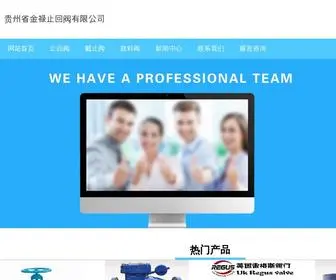 JB-Cleaners.com(贵州省金禄止回阀有限公司) Screenshot