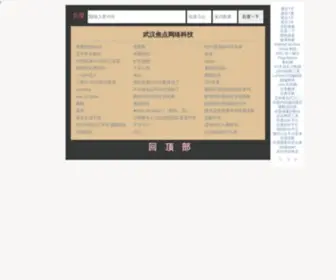 JDWLKJ.com(武汉焦点网络科技) Screenshot