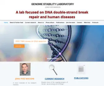 Jeanyvesmasson.com(Genome Stability Laboratory) Screenshot
