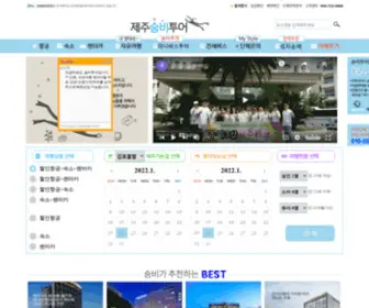 Jejusbtour.com((주)제주숨비투어) Screenshot