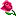 Jellotime.com Favicon