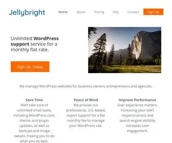 Jellybright.com(Expert WordPress Help) Screenshot