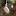 Jennaspevack.com Favicon