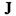 Jennifercyr.org Favicon