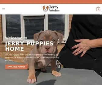 Jerrypuppieshome.com(Cavapoo Puppies for Sale) Screenshot