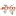 Jetcobrasil.com.br Favicon