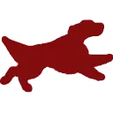 Jetsetters.ru Favicon