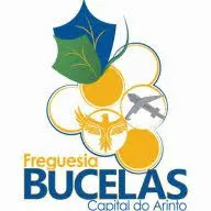 JF-Bucelas.pt Favicon