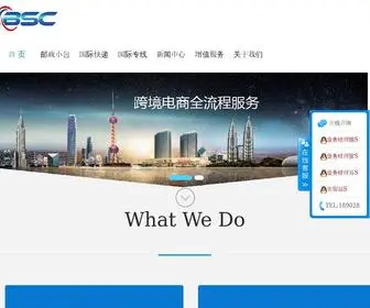 Jiayougyl.com(深圳市德胜跨境供应链管理有限公司) Screenshot