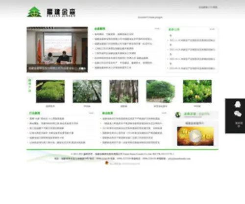 Jinsenforestry.com(福建金森林业股份有限公司) Screenshot