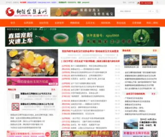 Jinsiyu.com(新疆金丝玉网) Screenshot