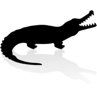Jirastrategy.com Favicon