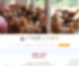 Jitokko.co.jp(株式会社地頭鶏ランド日南) Screenshot