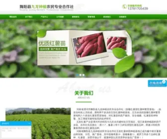 Jiulong588.com(红薯苗) Screenshot