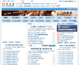 Jiweb.cn(养鸡网) Screenshot