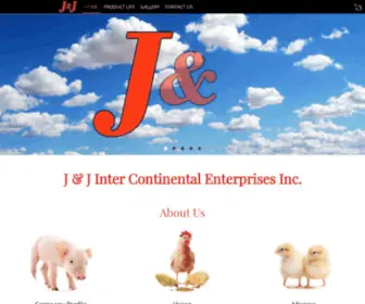 JJintercon.com(J & J Inter Continental) Screenshot