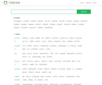 JJJiii.com(中国经销商网) Screenshot