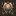 JJTXT.cc Favicon