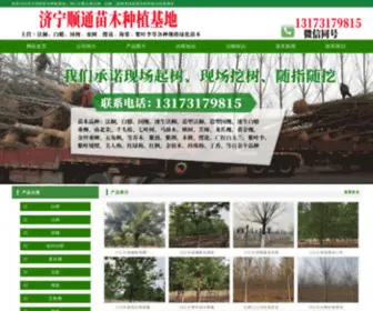 JNTHYL.com(山东济宁法桐苗木种植基地) Screenshot