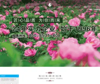 JNTyrose.com(济南天源玫瑰制品有限公司) Screenshot