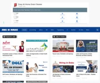 Jobsindubaie.com(Jobs in Dubai is a job searching portal in Dubai) Screenshot
