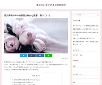 Joemonks.com(品川美容外科、TCBなど、東京でおすすめ) Screenshot