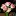 Joeyscreations.com Favicon