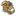 Joeytheproduceguy.com Favicon