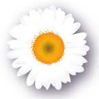 Johannelazure.com Logo