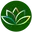 Johnnydung.com Favicon