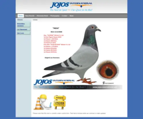 Jojos-International.com(Jojos International Racing Pigeons) Screenshot