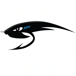 Josewejebefoundation.org Favicon