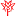 Joshihospital.in Favicon