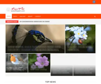 Josyam.com(josyam) Screenshot