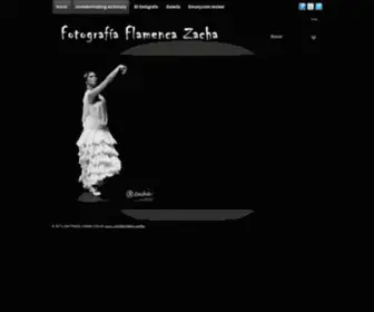 Jrzapata.net(Fotografía Flamenca Zacha) Screenshot