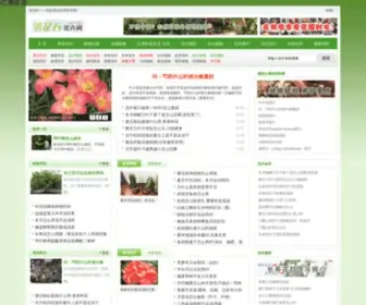 JSZQLWS.com(亿博体育) Screenshot