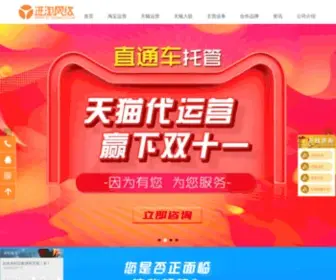 JT-Taobao.com(淘宝代运营) Screenshot