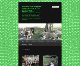 Jtailbordercollies.com(Border Collie Puppies For Sale From J) Screenshot