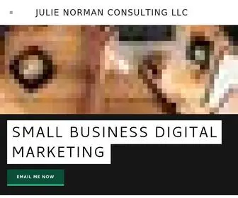 Julienormanconsulting.com(Julie Norman Consulting LLC) Screenshot