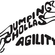 Jumpingchollas.com Favicon