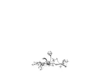 Jun-Igarashi.com(北海道) Screenshot
