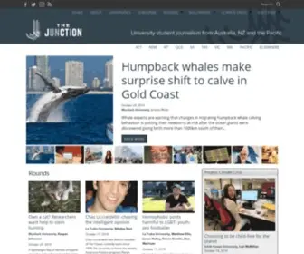 Junctionjournalism.com(The Junction) Screenshot