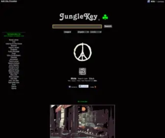 Junglekey.com(The new search engine) Screenshot