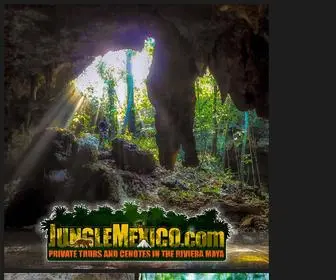 Junglemexico.com(Private tours) Screenshot