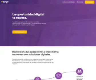 Jungo.software(Jungo Sistemas) Screenshot