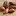 Justarganoil.com Favicon