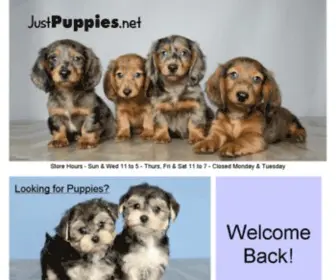 Justpuppies.net(Home to Better Puppies) Screenshot